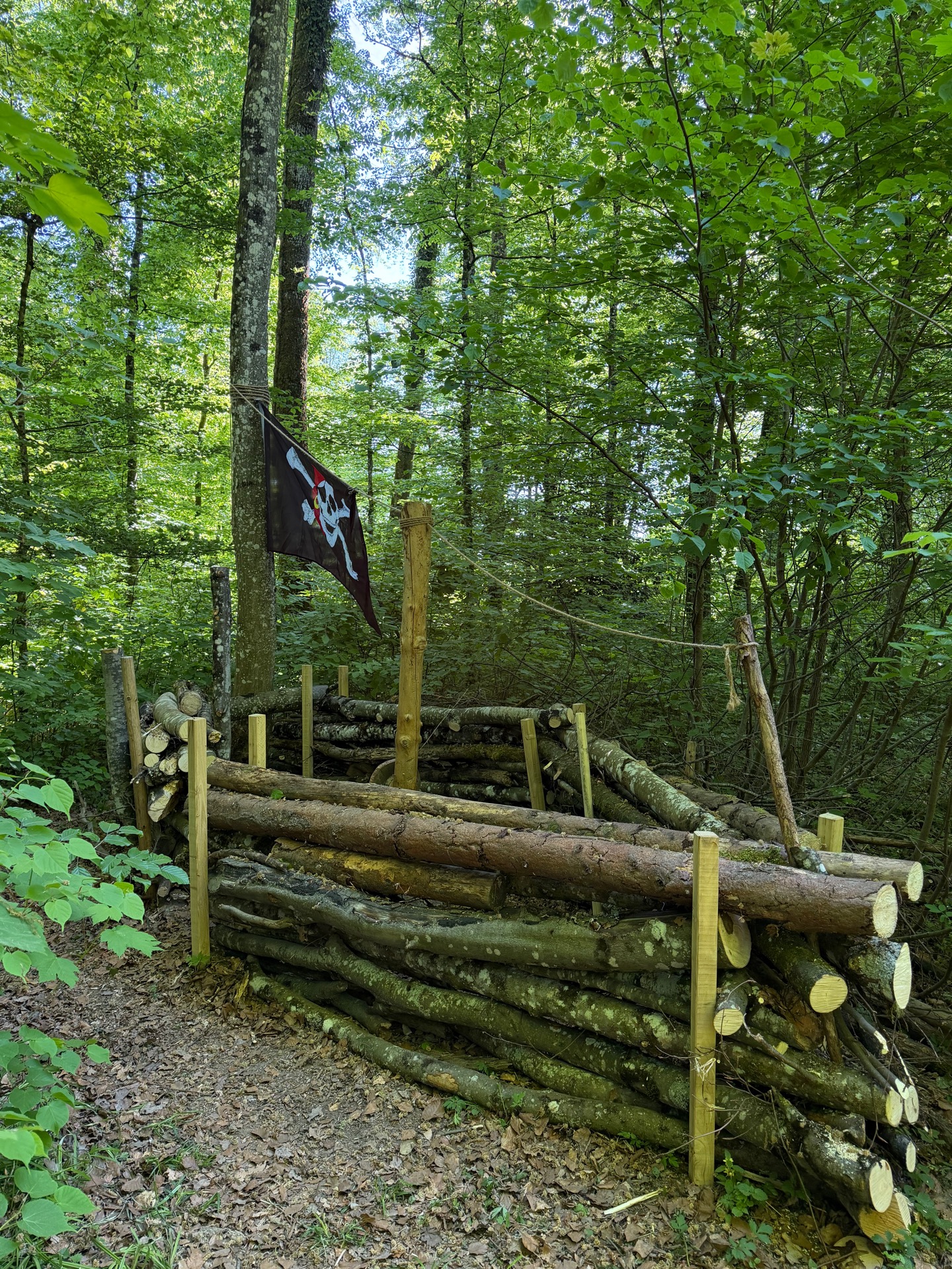 Waldmuus Galerie Bild 5