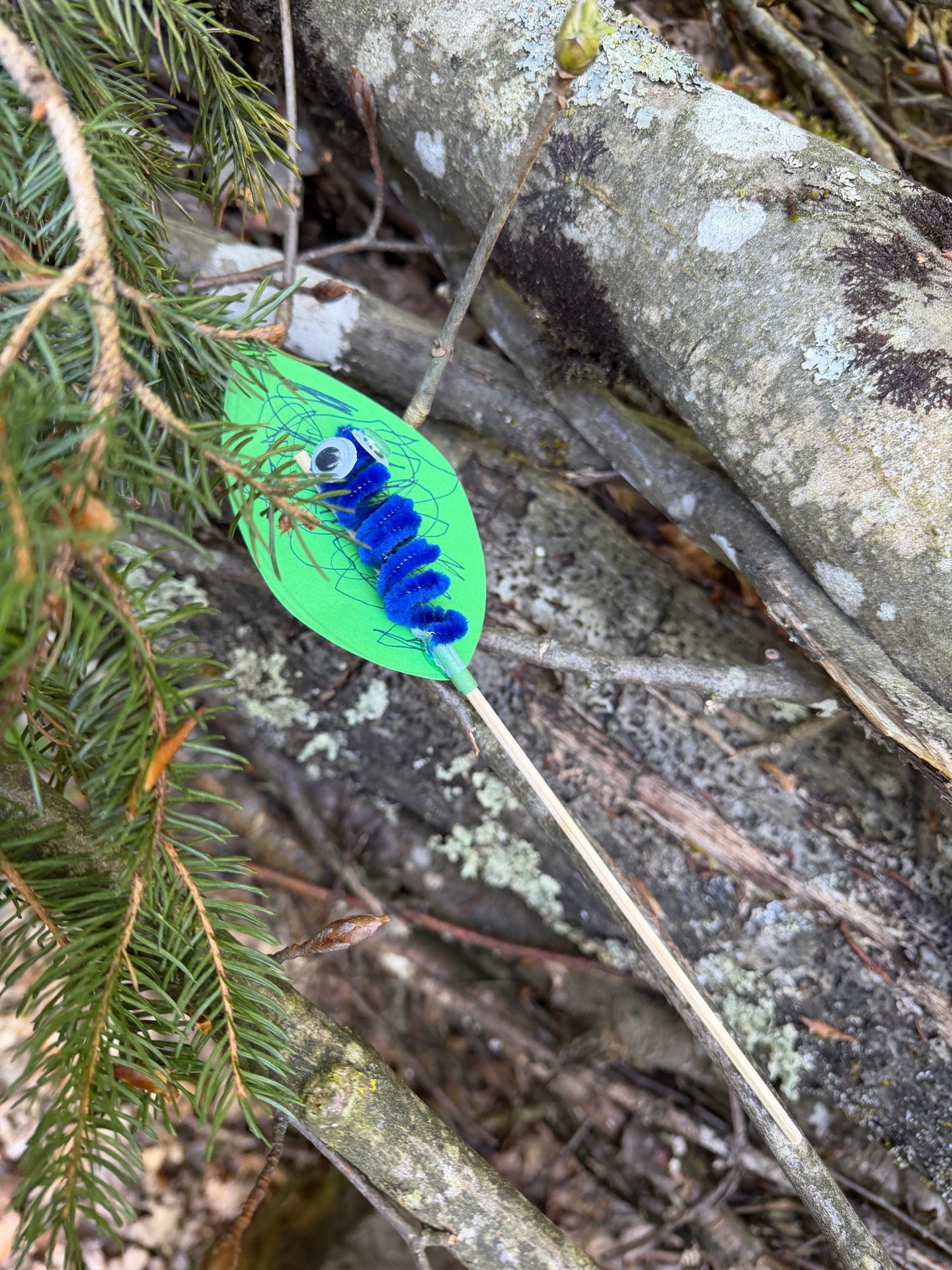 Waldmuus Galerie Bild 11