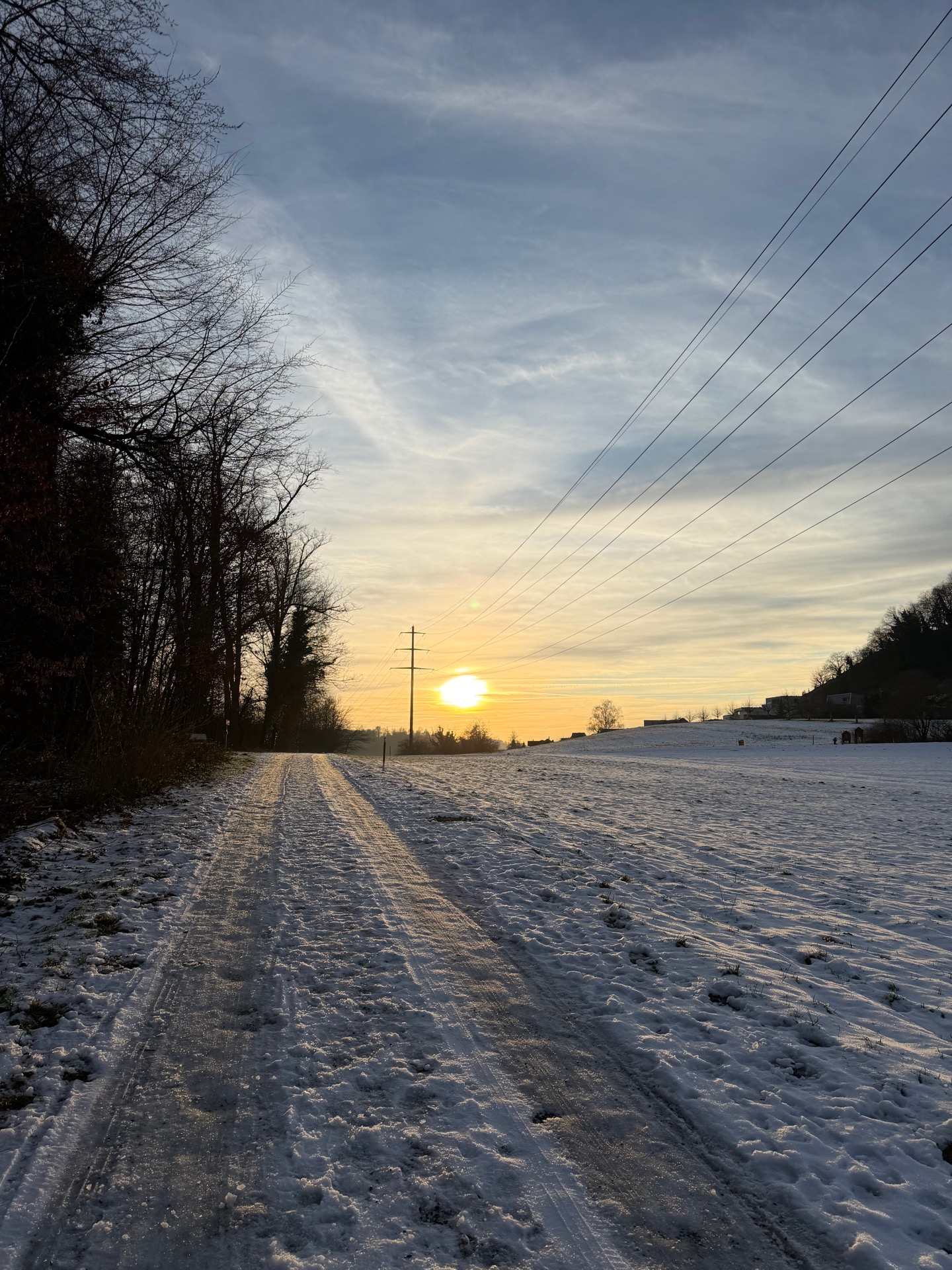 Waldmuus Galerie Bild 15